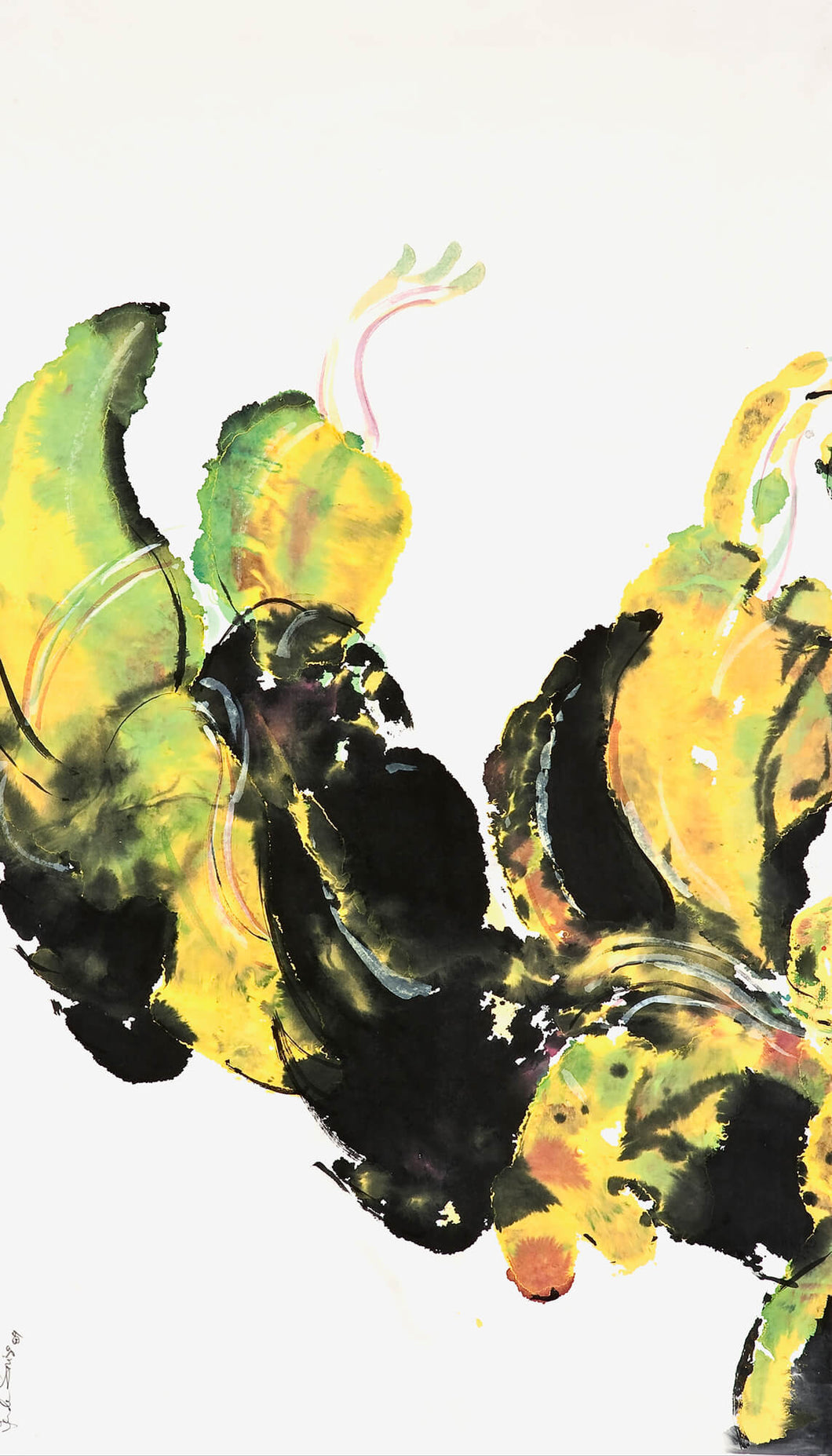 Macropidia fuliginosa: Limited Edition Print
